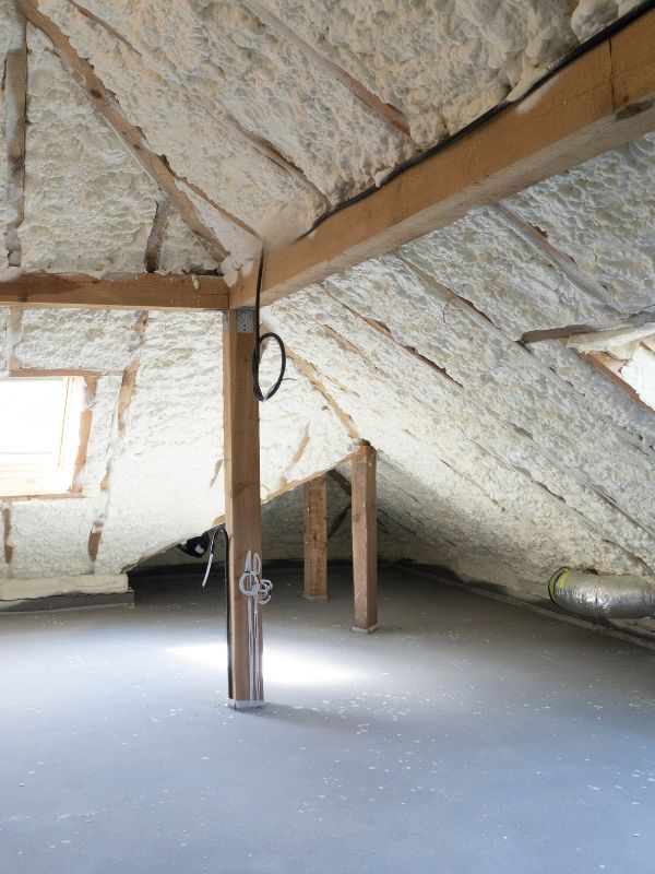 Professional Attic Sanitization